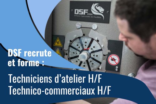 recrutement societe dsf lyon